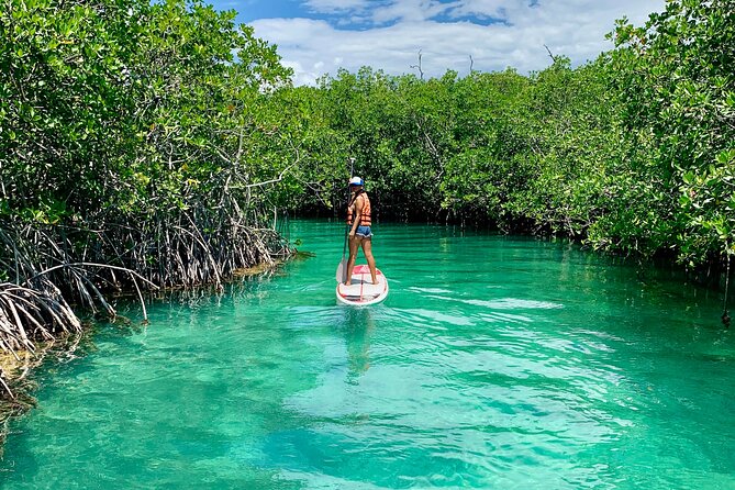Paddleboard Kayak Tour in Cancun - Wildlife, scenery, and free photos