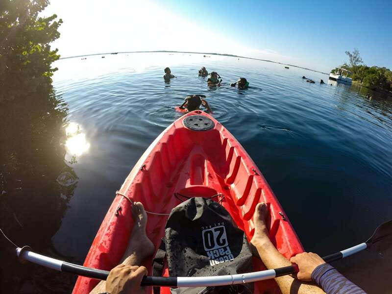 Paddleboard or kayak sunrise tour in Bacalar lagoon - Paddling into the first light