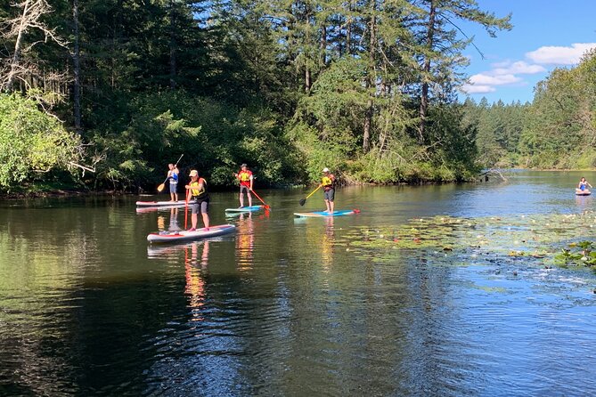 Paddling Thetis Lake - Why Thetis Lake works well for a first paddle