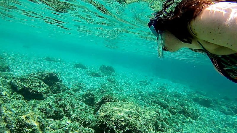 Palma de Mallorca: Private Boat Tour with Snorkel and Paddle - Snorkeling, SUP, and the underwater camera