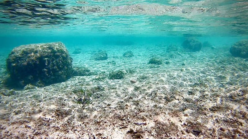 Palma de Mallorca: Private Boat Tour with Snorkel and Paddle - Weather, comfort, and practical limits