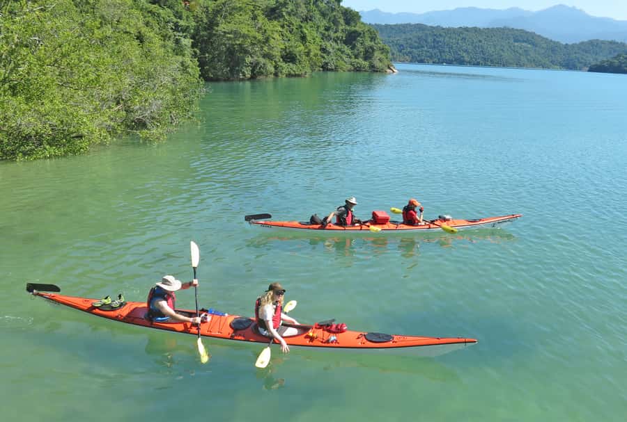Paraty Bay: Half-Day Mangroves and Beaches Tour by Kayak - What makes the small group worth $90