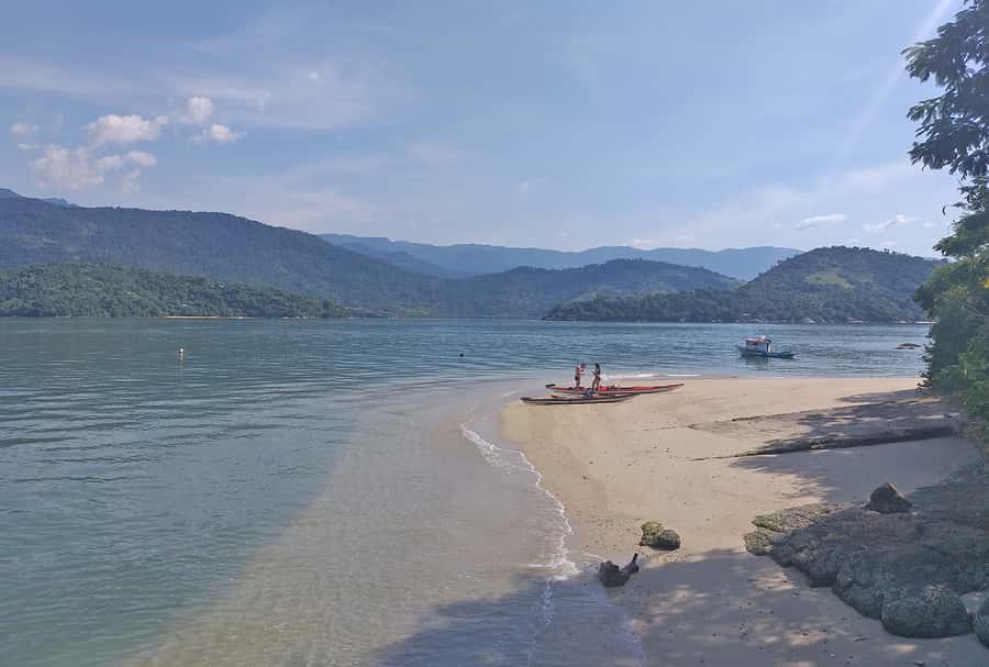 Paraty Bay: Half-Day Mangroves and Beaches Tour by Kayak - Who will enjoy this paddle most