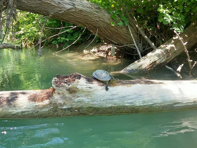 Parga: Kayaking Adventure in the Acheron River 13 km - Why the Acheron makes a fine paddling route