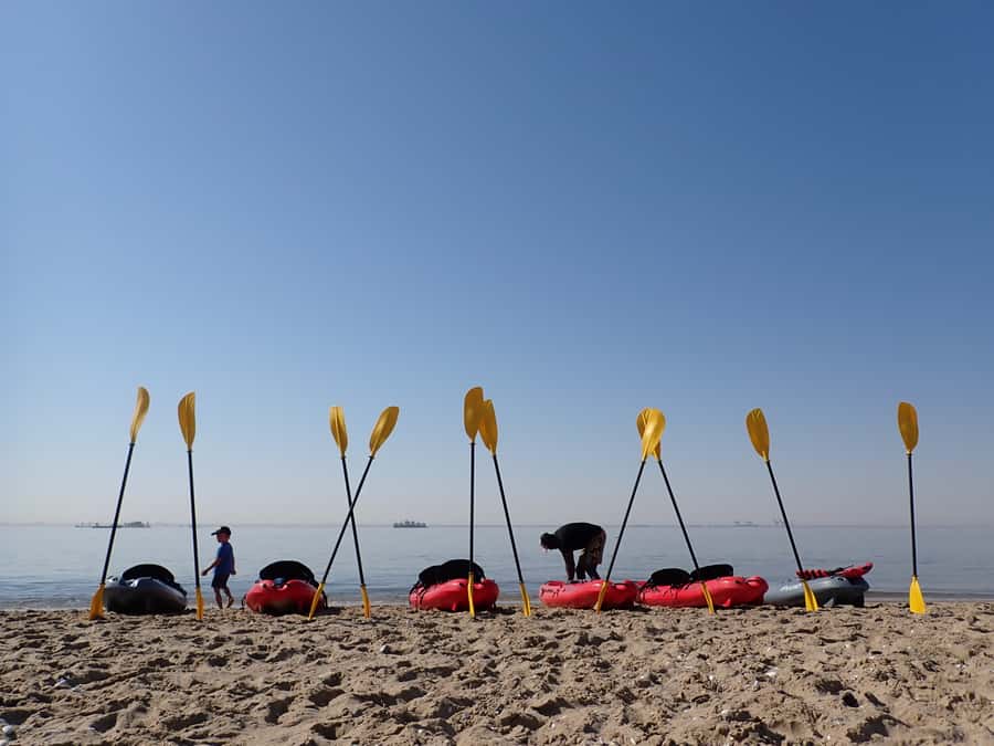 Pelican Point: Kayak with Seals Experience - Key points to know before booking