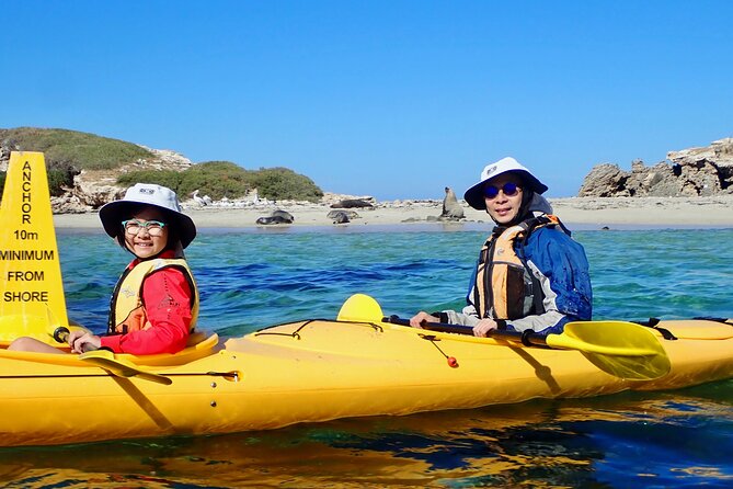 Penguin and Seal Islands Sea Kayaking Experience - Who should book this experience?