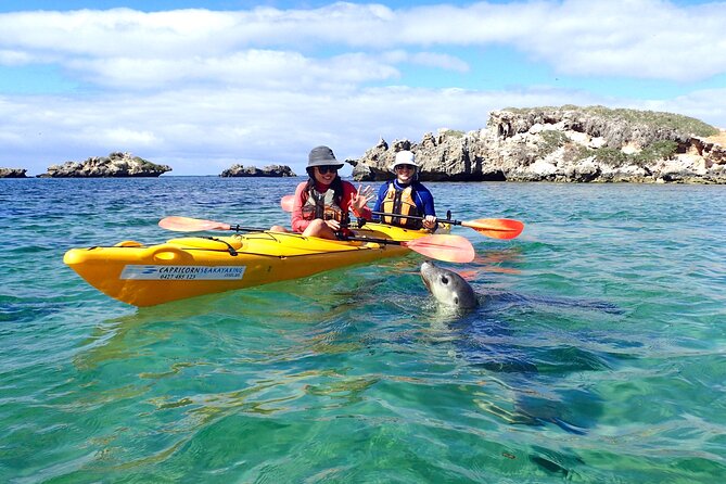 Penguin and Seal Islands Sea Kayaking Experience - Getting comfortable in a two-person kayak
