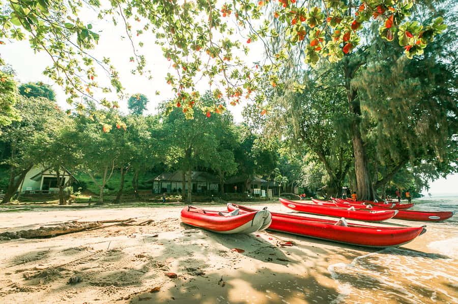 Phang Nga Bay Highlights: Kayaking and Cave Exploration Tour - Should you book the Phang Nga Bay kayaking tour?