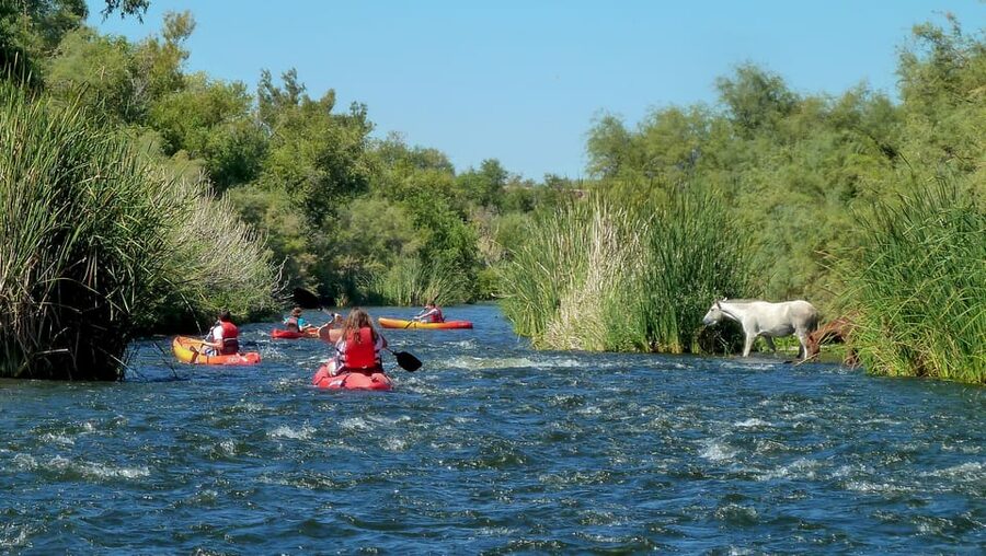 Phoenix: Self-Guided Kayaking Trip to Foxtail - Five miles beneath cliffs and saguaros