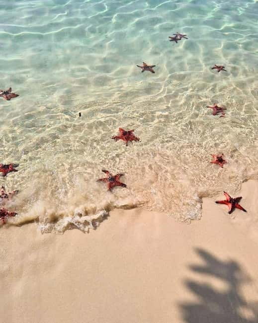Phu Quoc: Kayaking with Starfish Beach and Bee Farm Tour - A peaceful paddle on the Cua Can River