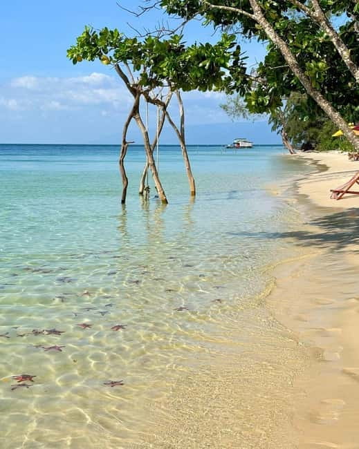 Phu Quoc: Kayaking with Starfish Beach and Bee Farm Tour - Rach Vem and the search for the starfish