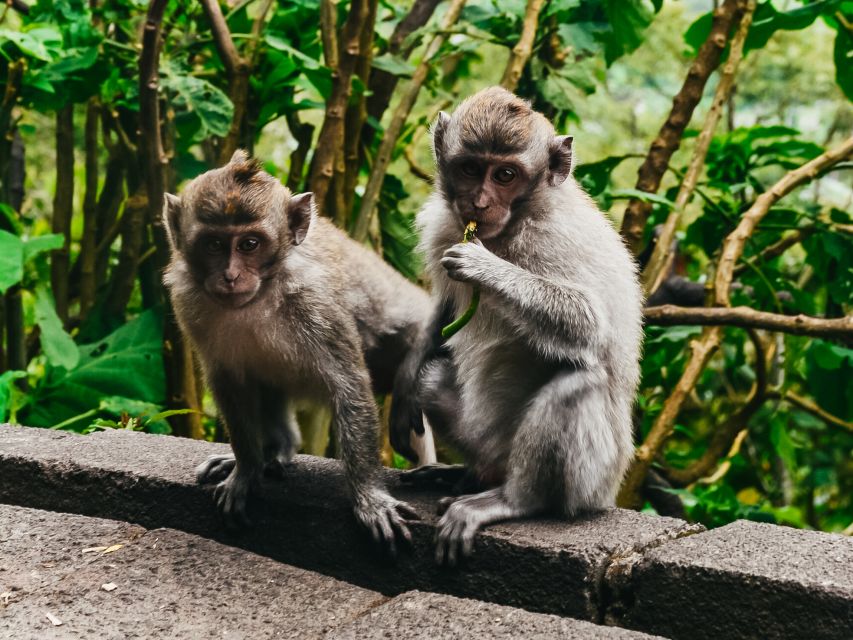 Phuket: James Bond Island Longtail Boat and Sea Canoe Tour - Lunch and local life at Ko Panyi