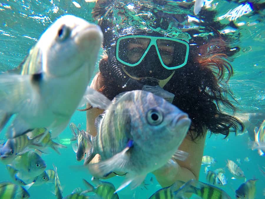 Phuket: Phi Phi & James Bond Island Combo Day Tour w/Lunch - Maya Bay before the crowds build
