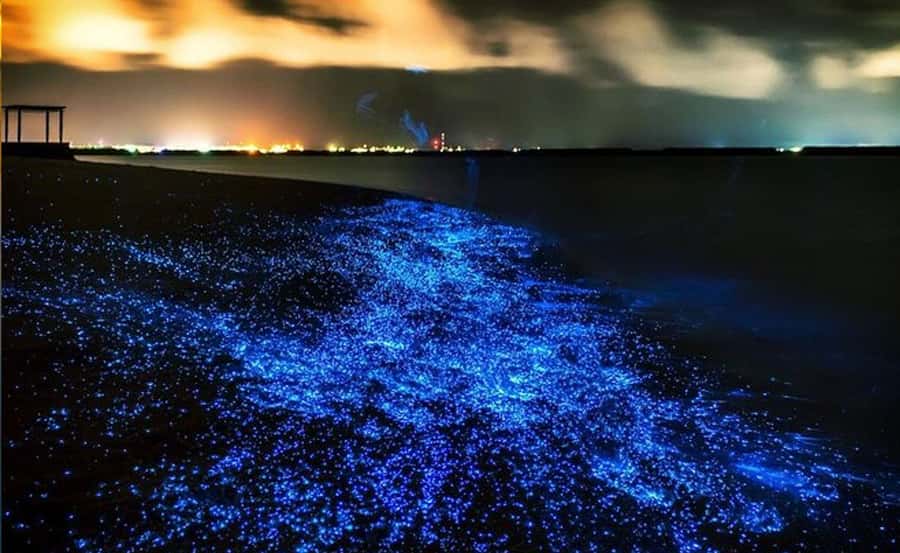 Phuket : Twilight Sea Canoe Tour with Glowing Plankton - A long day from Phuket to Phang Nga Bay