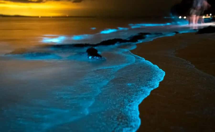 Phuket : Twilight Sea Canoe Tour with Glowing Plankton - Panak Island: the first real paddle