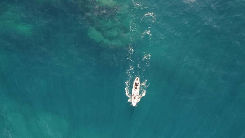 Pico island: guided kayak and snorkel tour - Starting at the Lajes do Pico harbour