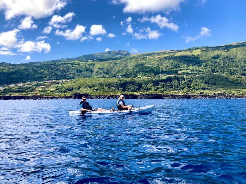 Pico island: guided kayak and snorkel tour - What the guide adds to the outing