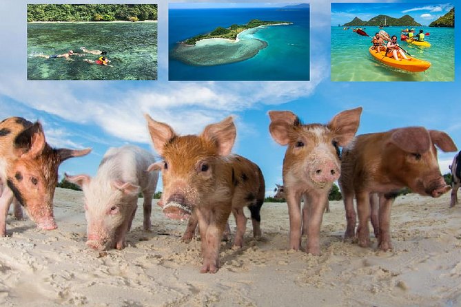 Pig Island Experience By Speed Boat, Snorkeling, Kayaking Relaxing on the Beach - Key things to know before booking