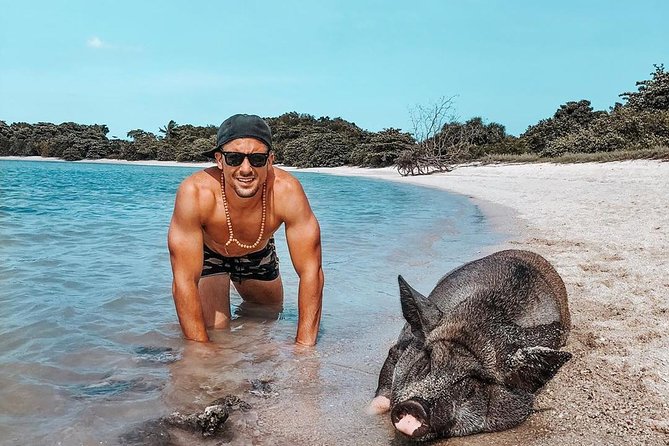 Pig Island Experience By Speed Boat, Snorkeling, Kayaking Relaxing on the Beach - Koh Tan snorkeling: pleasant, but keep expectations sensible