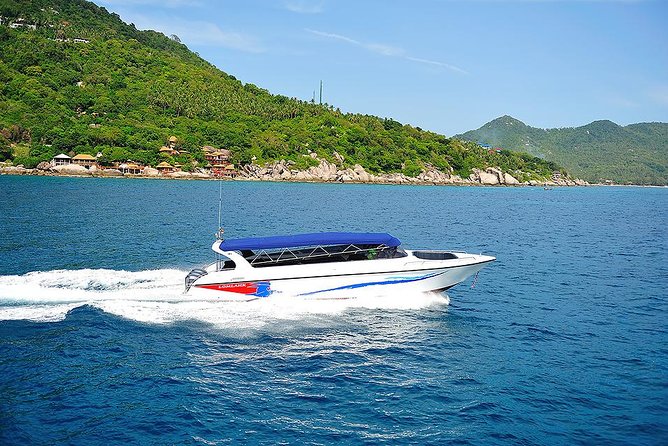 Pig Island Experience By Speed Boat, Snorkeling, Kayaking Relaxing on the Beach - Who will enjoy this Koh Samui day trip
