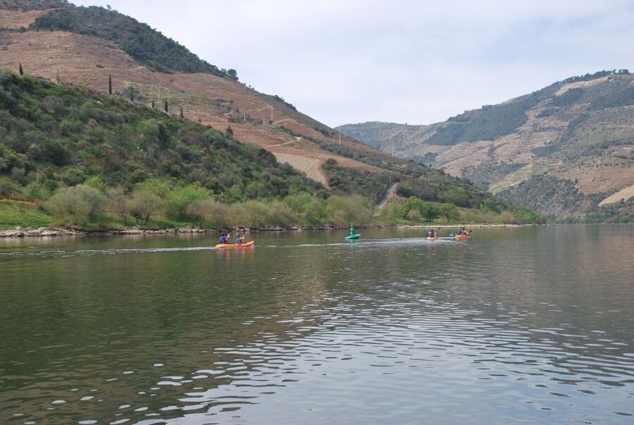 Pinhão: 4 Hour Douro Valley Kayak Rental - Practical Tips for a Better Paddle