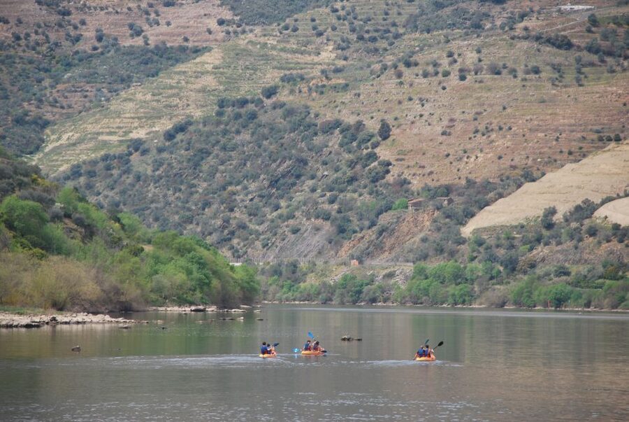 Pinhão: 4 Hour Douro Valley Kayak Rental - Who Will Enjoy This Most?