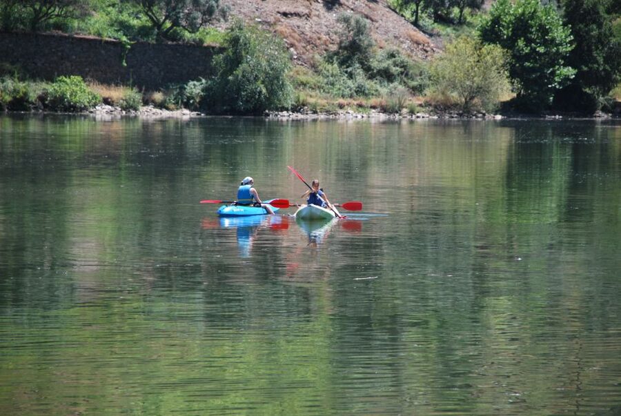 Pinhão: Douro Valley Rabelo Boat Tour and Kayak Experience - The Douro vineyards from a lower viewpoint