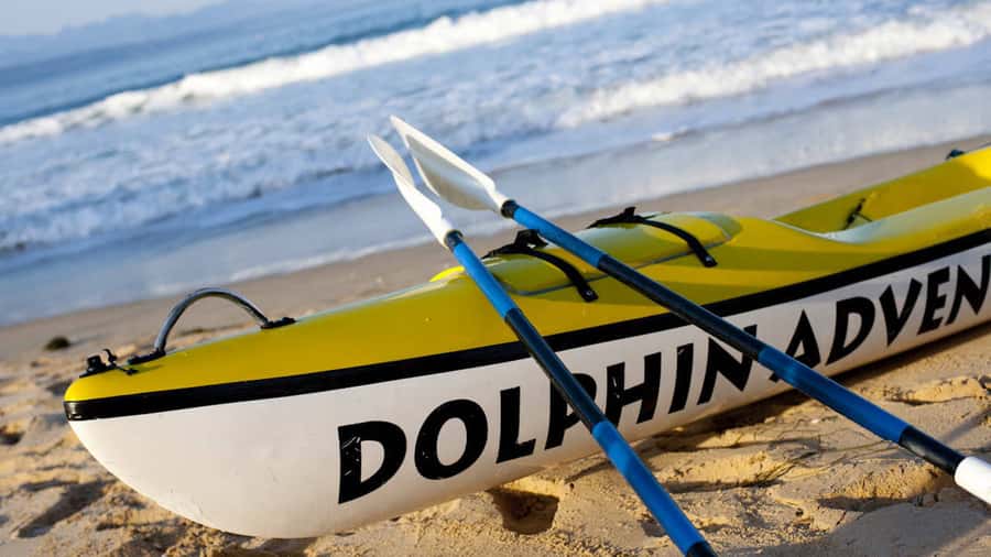 Plettenberg Bay: Guided Sea Kayak Tour - Paddling out beneath the Tsitsikamma mountains