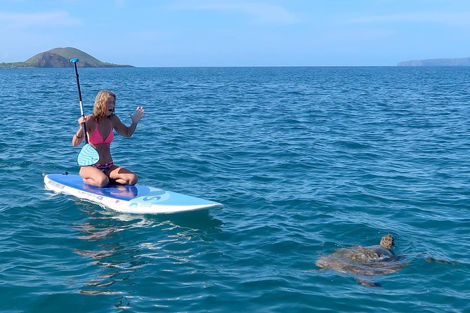 Private Beginner Paddleboard 101 Lesson: Makena Landing! - Turtle sightings are the natural reward