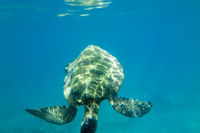 Private Beginner Paddleboard Lesson with Snorkel in Turtle Town - Starting at Makena Landing Park