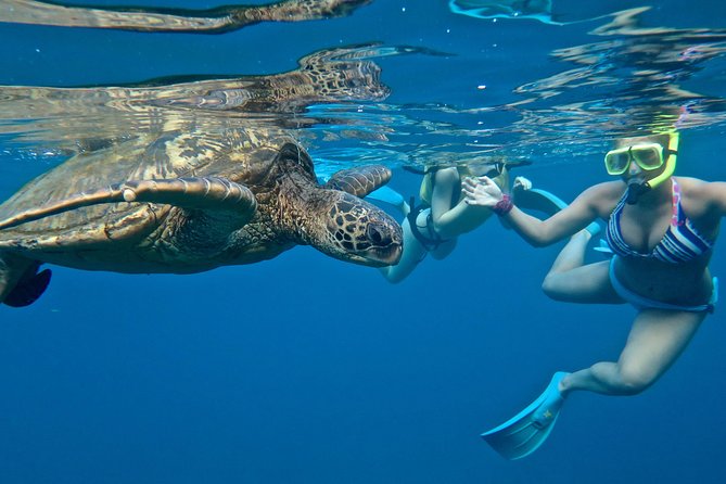 Private Beginner Paddleboard Lesson with Snorkel in Turtle Town - Paddling along the Wailea Coast