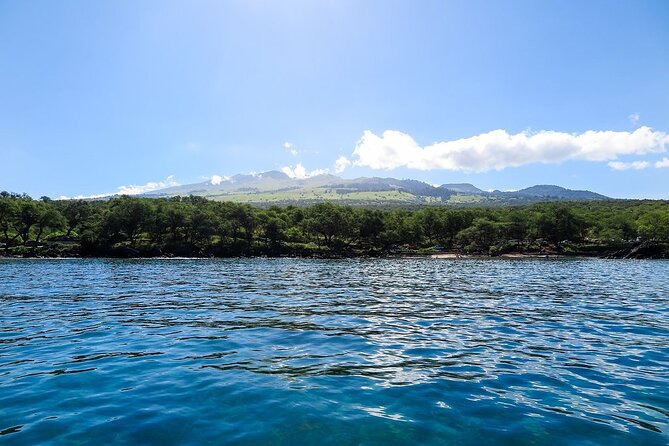 Private Beginner Paddleboard Lesson with Snorkel in Turtle Town - The value of a $179 private lesson