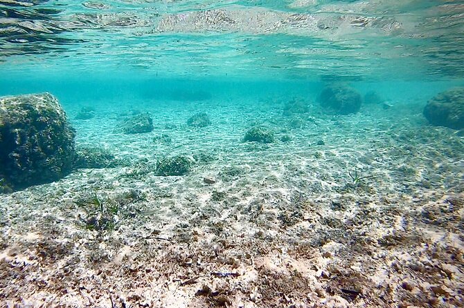 Private Boat Tour from Palma with Snorkeling and Paddle Surfing - The skipper makes the difference