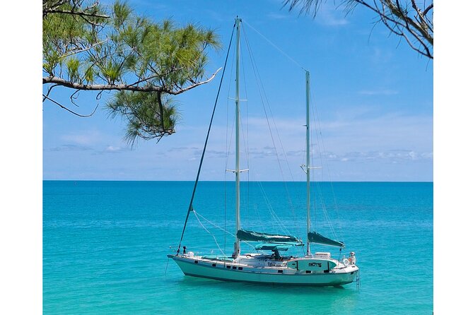 Private Catamaran Swim sail snorkel cliff jumping SUP - SUP, crystal kayak, and time on the water