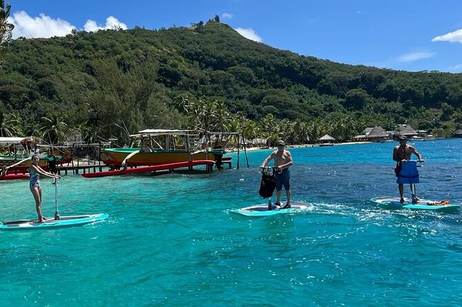 Private Electric Paddle Cruise in Bora Bora - What the $55 price gets you