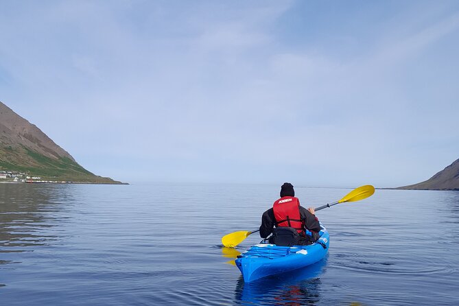 Private: Guided kayak tour in Siglufjörður / Siglufjordur. - Key points about kayaking in Siglufjörður