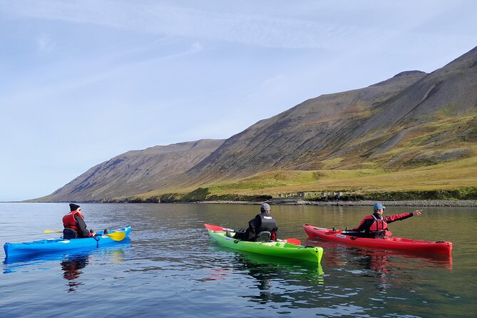 Private: Guided kayak tour in Siglufjörður / Siglufjordur. - Learning to control the kayak before setting off