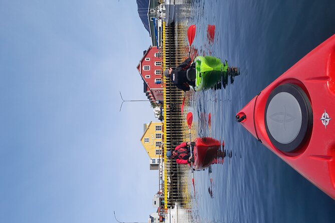 Private: Guided kayak tour in Siglufjörður / Siglufjordur. - The guide and the finish back at Sigló Sea
