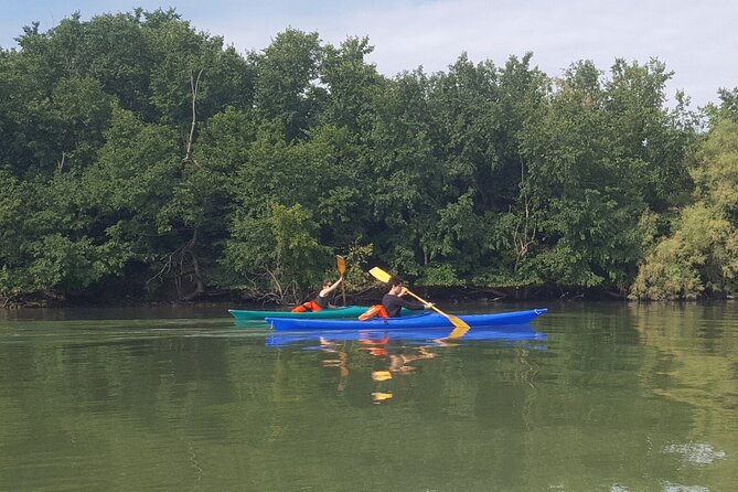 Private Kayak Tour in the Venetian Lagoon - Paddling through Burano and the lagoon channels