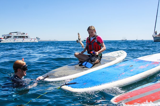Private Paddleboard and snorkel at the arch - What guides add to the experience