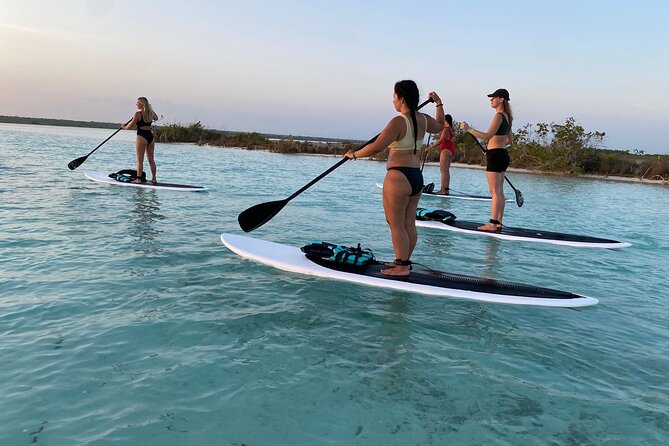 Private Paddleboard Experience in Bacalar - Starting at Costera 451 and arranging pickup