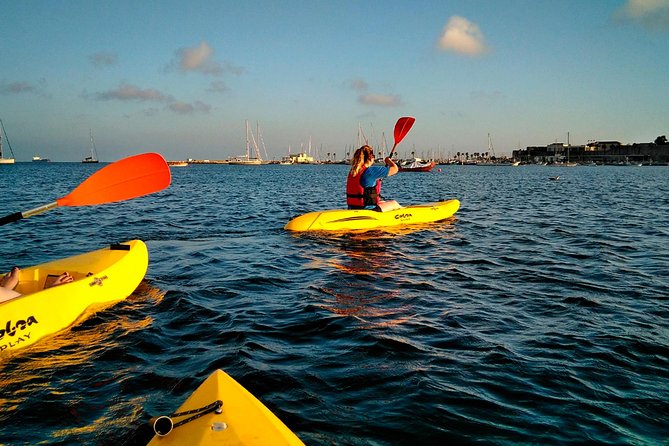 Private Sea Kayaking in Cascais, Lisbon - How the private guide changes the experience