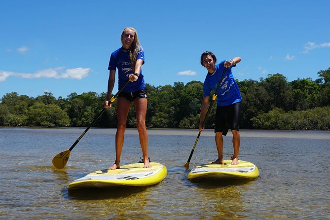 Private Stand Up Paddle Boarding Tours Byron Bay - Key points at a glance