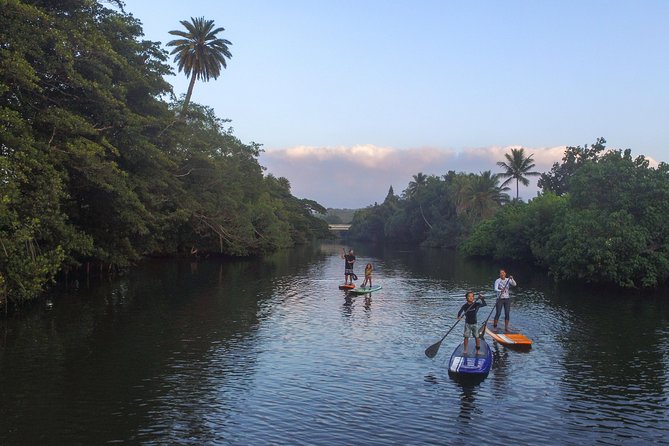 Private Stand up Paddle Lesson and Tour (for 1 or more paddlers) - Haleiwa Bay: Your First Open-Water Practice