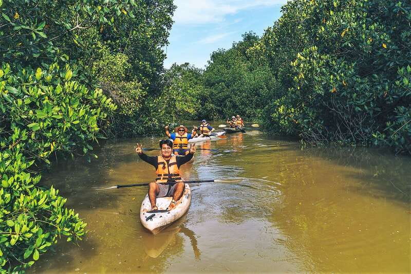 Puerto Escondido: Kayak Adventure On Manialtepec Lagoon - Why Manialtepec Lagoon makes a good morning trip