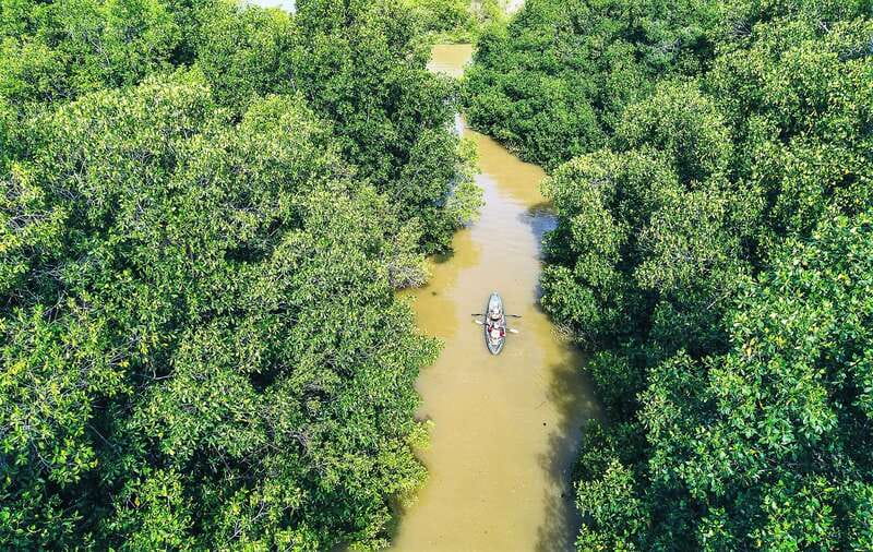 Puerto Escondido: Kayak Adventure On Manialtepec Lagoon - Carnero and the lagoon’s bird life
