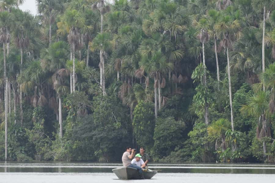 Puerto Maldonado: Sandoval Lake Full-Day Trip with Canoeing - Canoeing on Sandoval Lake