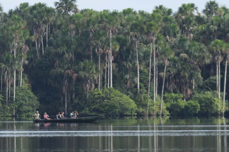 Puerto Maldonado: Sandoval Lake Full-Day Trip with Canoeing - The 55-minute walk to Sandoval Lake