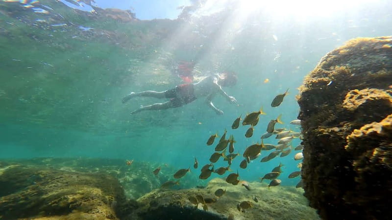 Puerto Mogán: Guided Adventure Kayak Tour in Caves & Snorkel - Entering the Mogán Caves