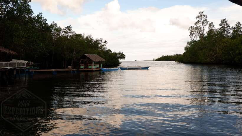 Puerto Princesa: Firefly Watching Paddle Boat Tour & Dinner - Key points at a glance